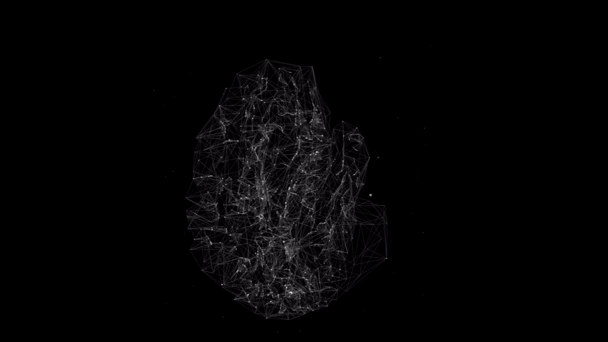 brain